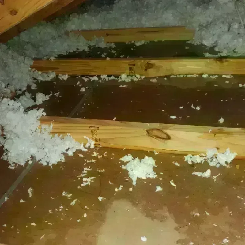 Attic Water Damage in Drew, MS