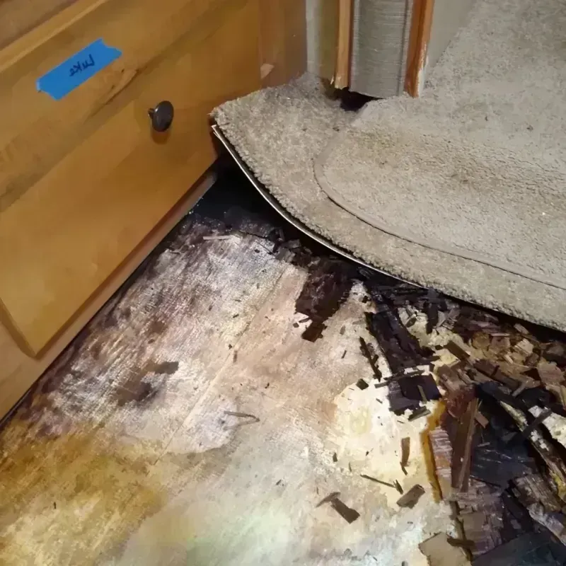 Wood Floor Water Damage in Drew, MS